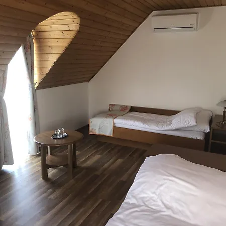 Zoeldteto Panzio 4* 巴拉顿菲赖德