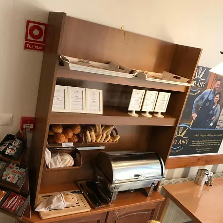 فندق مبيت وإفطار Zoeldteto Panzio 4*